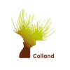 Colland